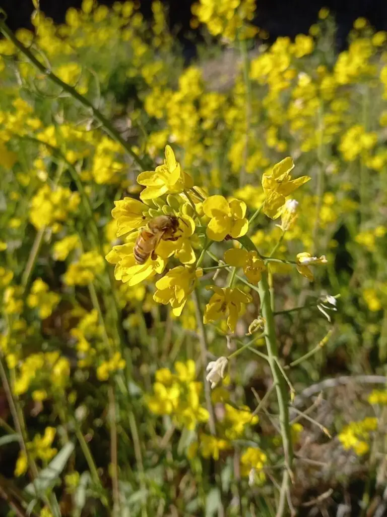 1771323858592 768x1024